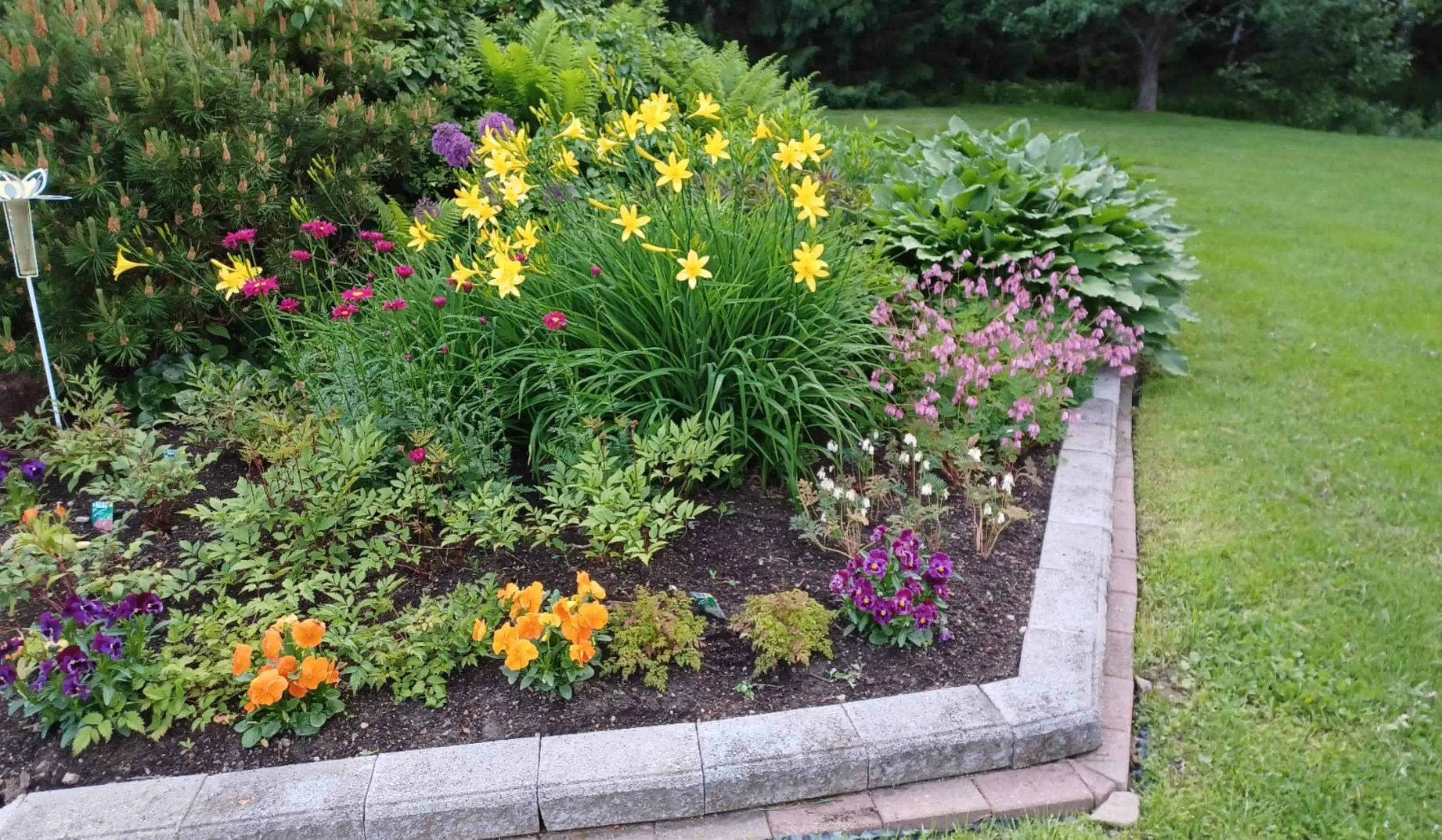 Etsitkö kukkapenkin perustajaa {{CITY_NAME_ELA}}? {{CITY_NAME_GEN} paikalliset palveluntarjoajat varmistavat, että kukakpenkki perustetaan pitkäaikaiseksi ja kauniiksi.