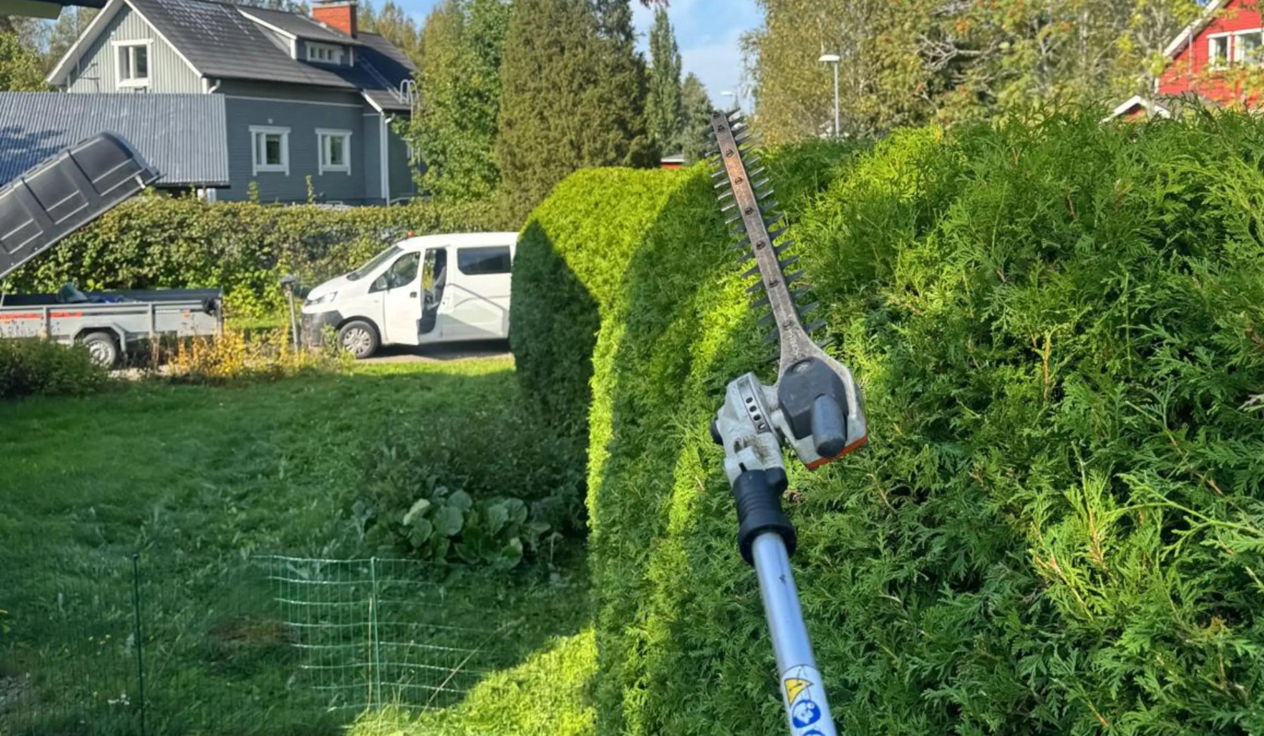 Etsitkö tuija-aidan leikkaajaa {{CITY_NAME_ELA}}? Tuiija-aidan leikkaaja varmistaa, että tuija-aita leikataan oikein ja se pysyy elinvoimaisena. Selvitä, mitä tuija-aidan leikkaus {{CITY_NAME_INE}} kustantaa!