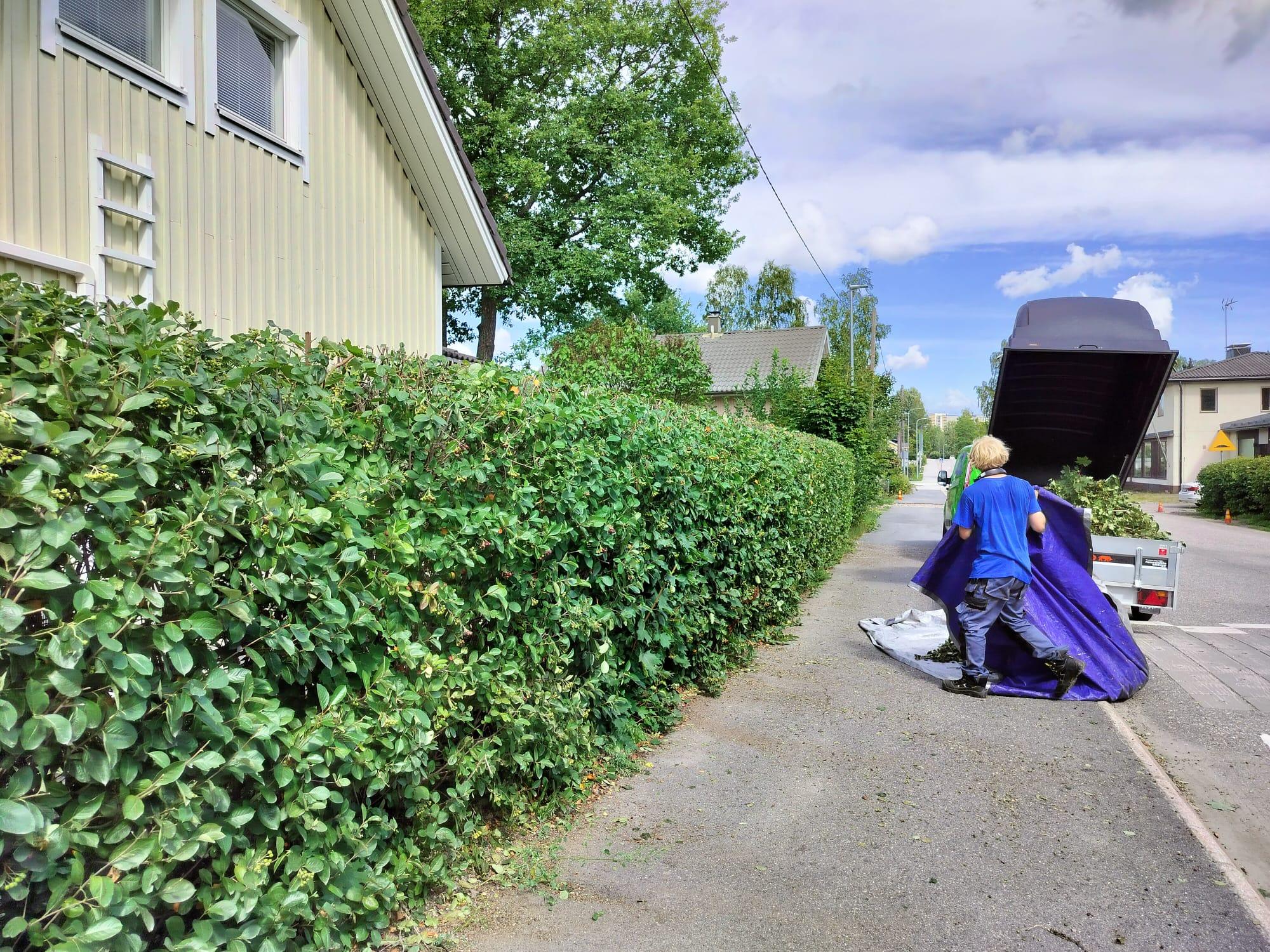 Etsitkö ammattitaitoista aronia-aidan leikkausta Helsingistä? Aronia-aidan leikkaukseen Helsingin paikalliset palveluntarjoajat varmistavat, että aitasi pysyy siistinä ja elinvoimaisena jokaisena vuodenaikana.