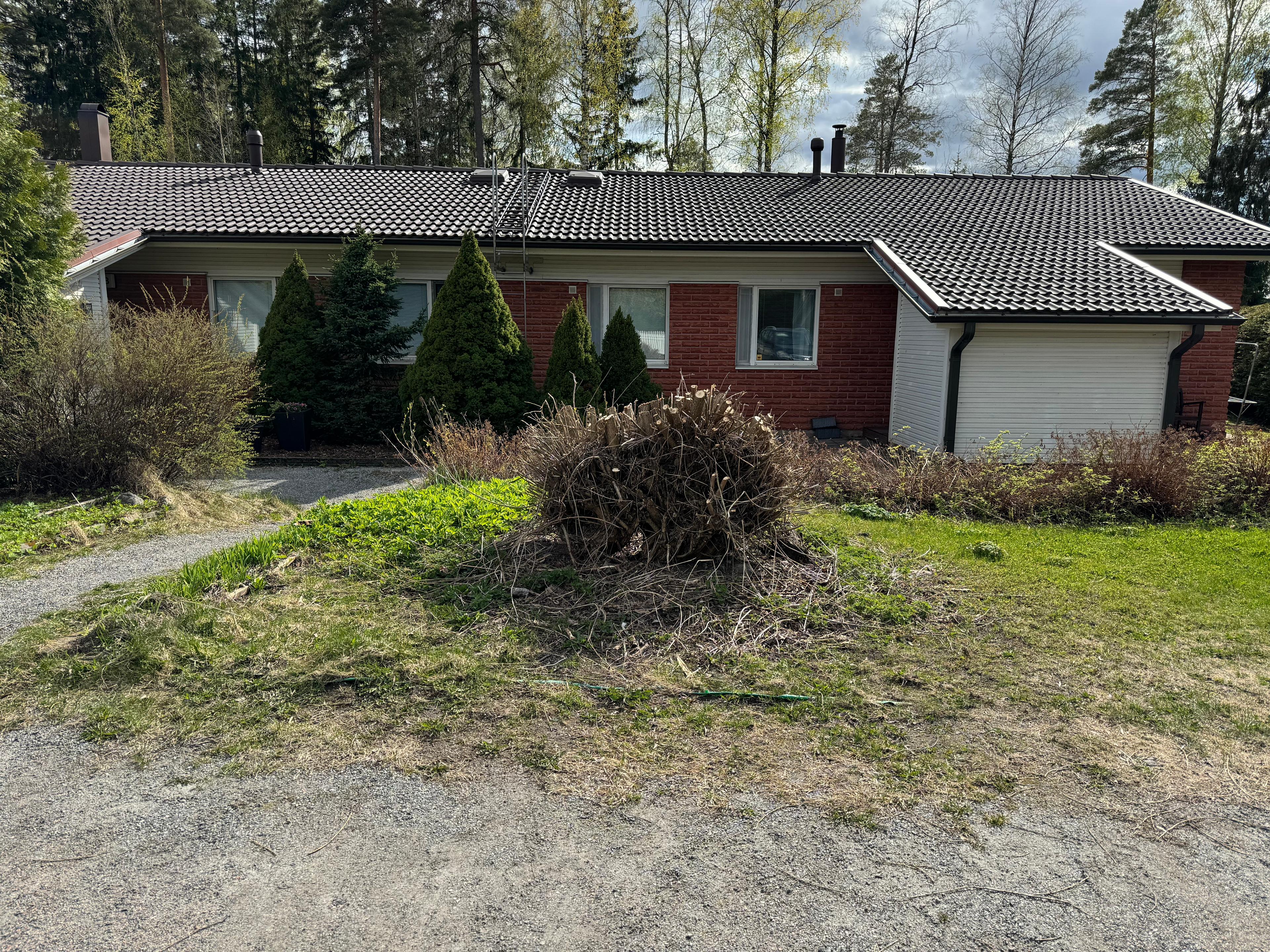 Vaahteran leikkaus Helsingissä Tutustu paikallisiin yrityksiin ja pyydä tarjous vaahteran leikkauksesta Helsingissä.