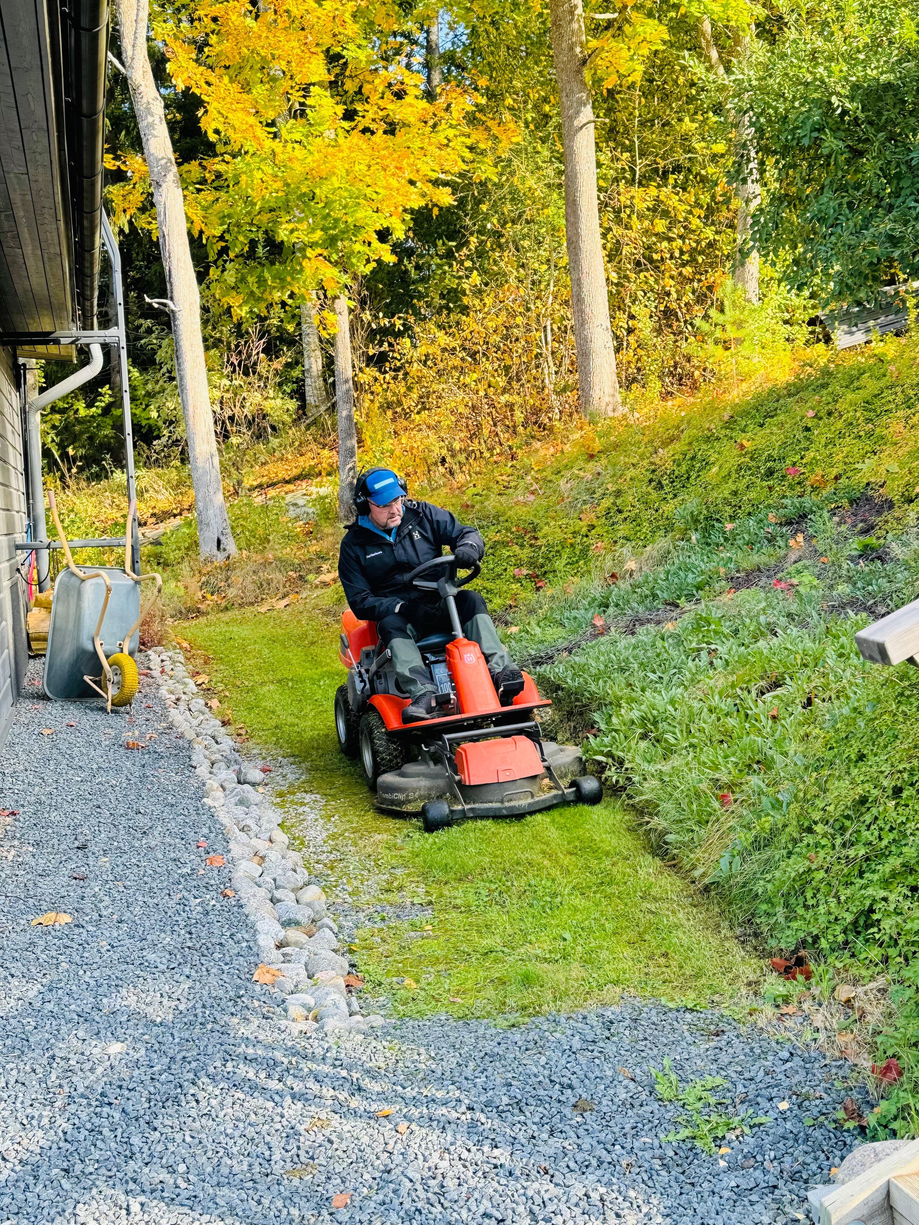 Etsitkö nurmikon leikkauspalvelua Helsingistä? Helsingin paikalliset palveluntarjoajat varmistavat, että nurmikkosi pysyy siistinä ja elinvoimaisena läpi kauden.