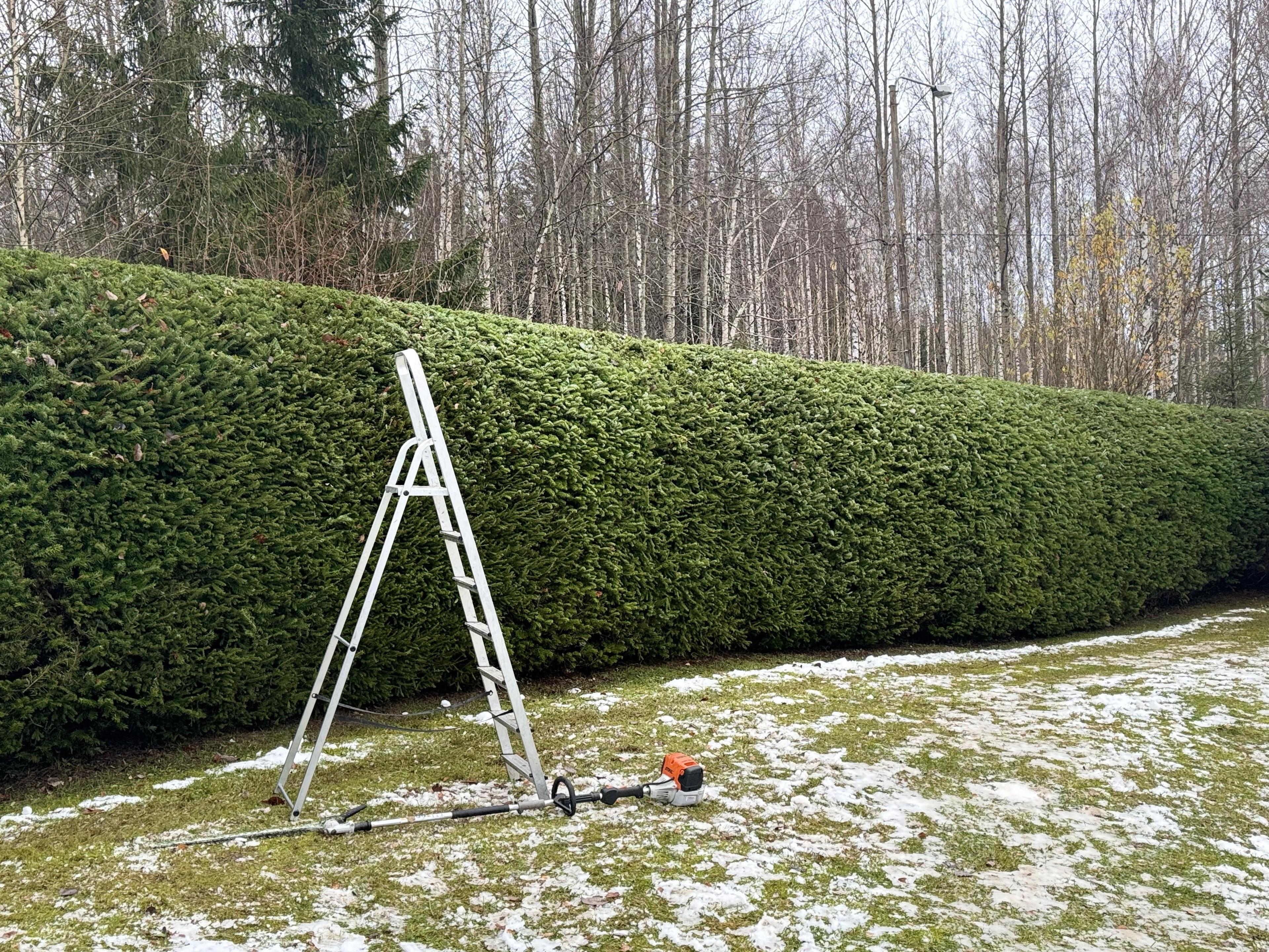 Etsitkö ammattitaitoista yritystä istuttamaan kuusiaitasi Helsingistä? Helsingin paikalliset palveluntarjoajat varmistavat, että kuusiaitasi asennetaan oikein.
