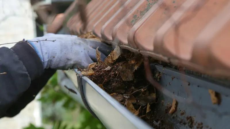 Kotitalkkarilta kiinteistön hoitoa Nokialla Kotitalkkari voi hoitaa monenlaisia kiinteistön hoitoon liittyviä tehtäviä ulkotöistä sisähommiin.