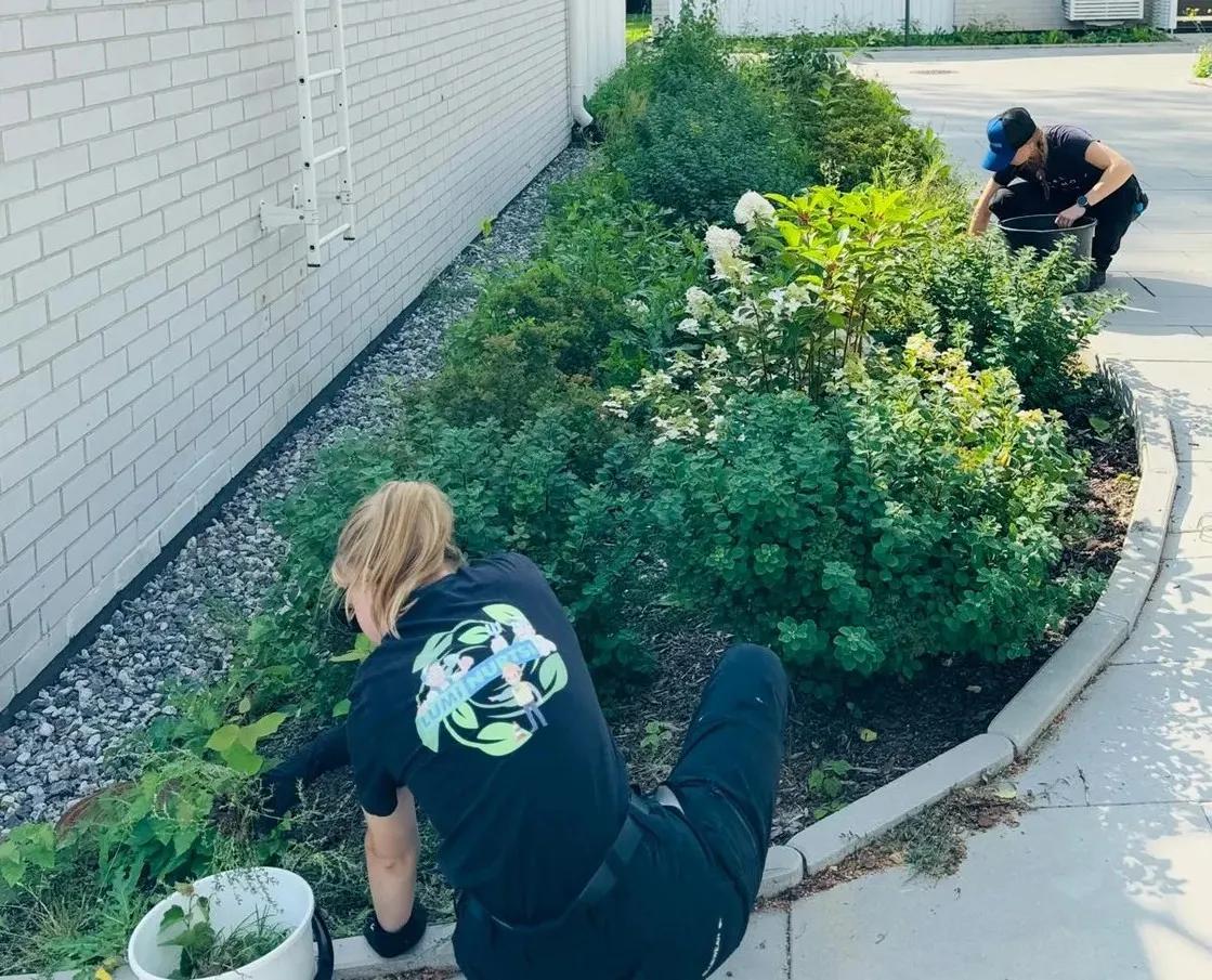 Etsitkö puutarhuria {{CITY_NAME_ELA}}? Puutarhuri varmistaa, että piha pysyy siistinä vuodesta toiseen.