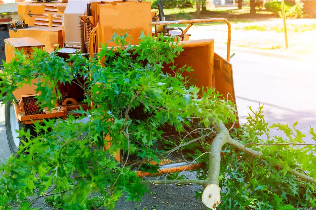 Haketus Kristiinankaupunki Etsitkö ammattitaitoista haketuspalvelua Kristiinankaupungista? Kristiinankaupungin paikalliset puunhoidon ammattilaiset hoitavat työn ripeästi ammattikalustollaan.