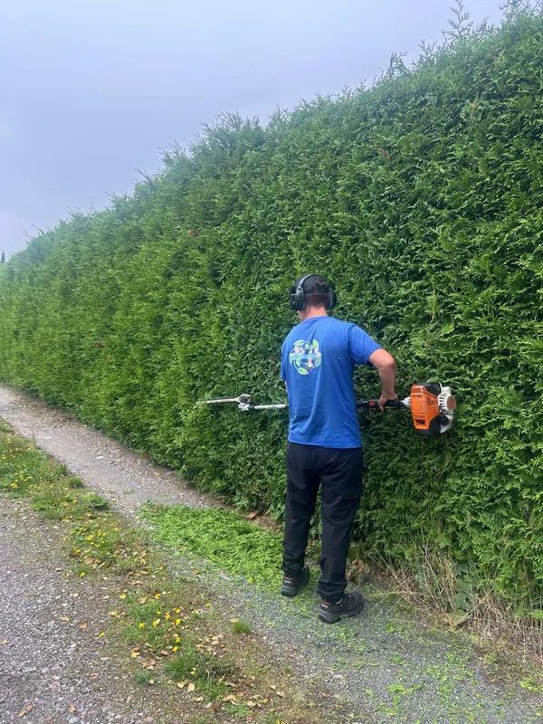Pensasaidan leikkaus Pyhäjoella Etsitkö ammattitaitoista yritystä tekemään pensasaidan leikkauksen? Pyhäjoen paikalliset palveluntarjoajat hoitavat pensasaidan leikkauksen oikeaoppisesti ja tehokkaasti.