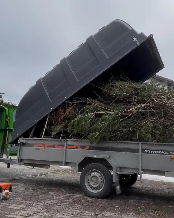 Risujen poisvienti Vimpelissä Kaatopaikkakuljetuksessa voidaan viedä pois pihalle kertyneitä puutarhajätteitä tai vaikka purettu pergola. Älä huoli peräkärryn vuokrauksesta tai jätteiden kierrätyksestä. Vimpelin ammattilaiset hoitavat työt puolestasi!