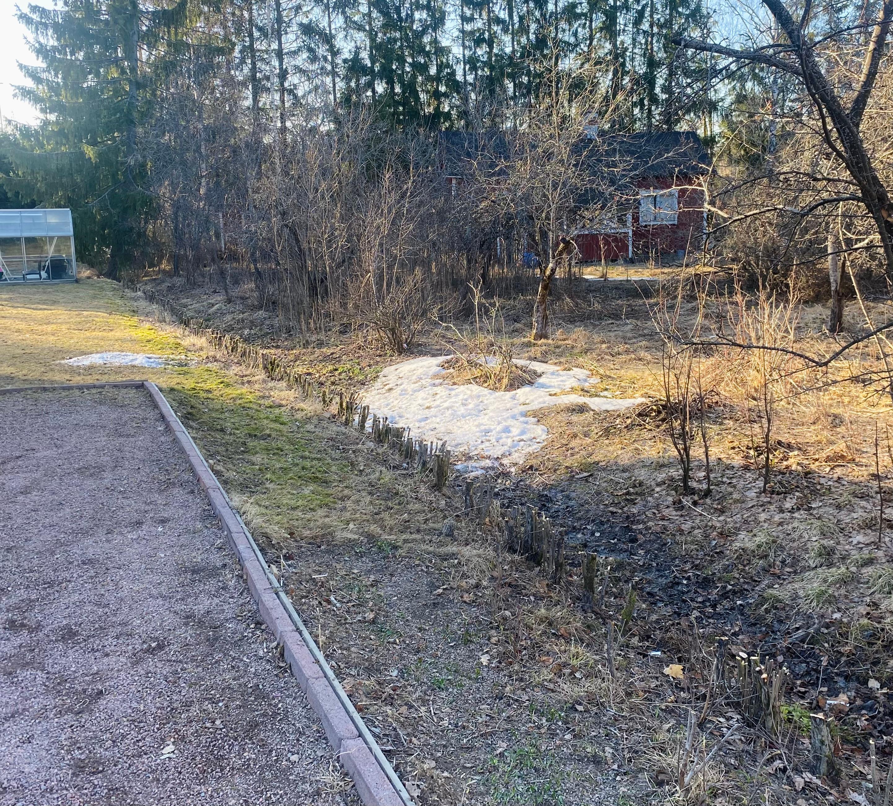 Orapihlaja-aidan alasleikkaus Helsinki Etsitkö ammattitaitoista yritystä alasleikkaamaan orapihlaja-aitasi? Helsingin paikalliset palveluntarjoajat leikkaavat orapihlaja-aidan alas tehokkaasti ja sen uutta kasvua edistäen.