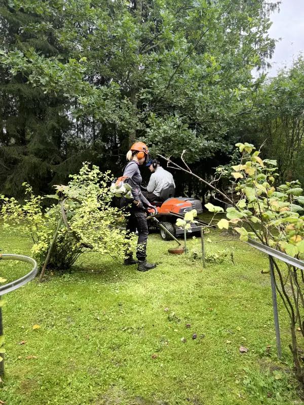 Nurmikon leikkaus ja trimmaustyöt Isojoella Ammattilaisen tarjoama nurmikon leikkauspalvelu Isojoella sisältää usein myös reuna-alueiden trimmaustyöt, jotta lopputulos on siisti ja huoliteltu.