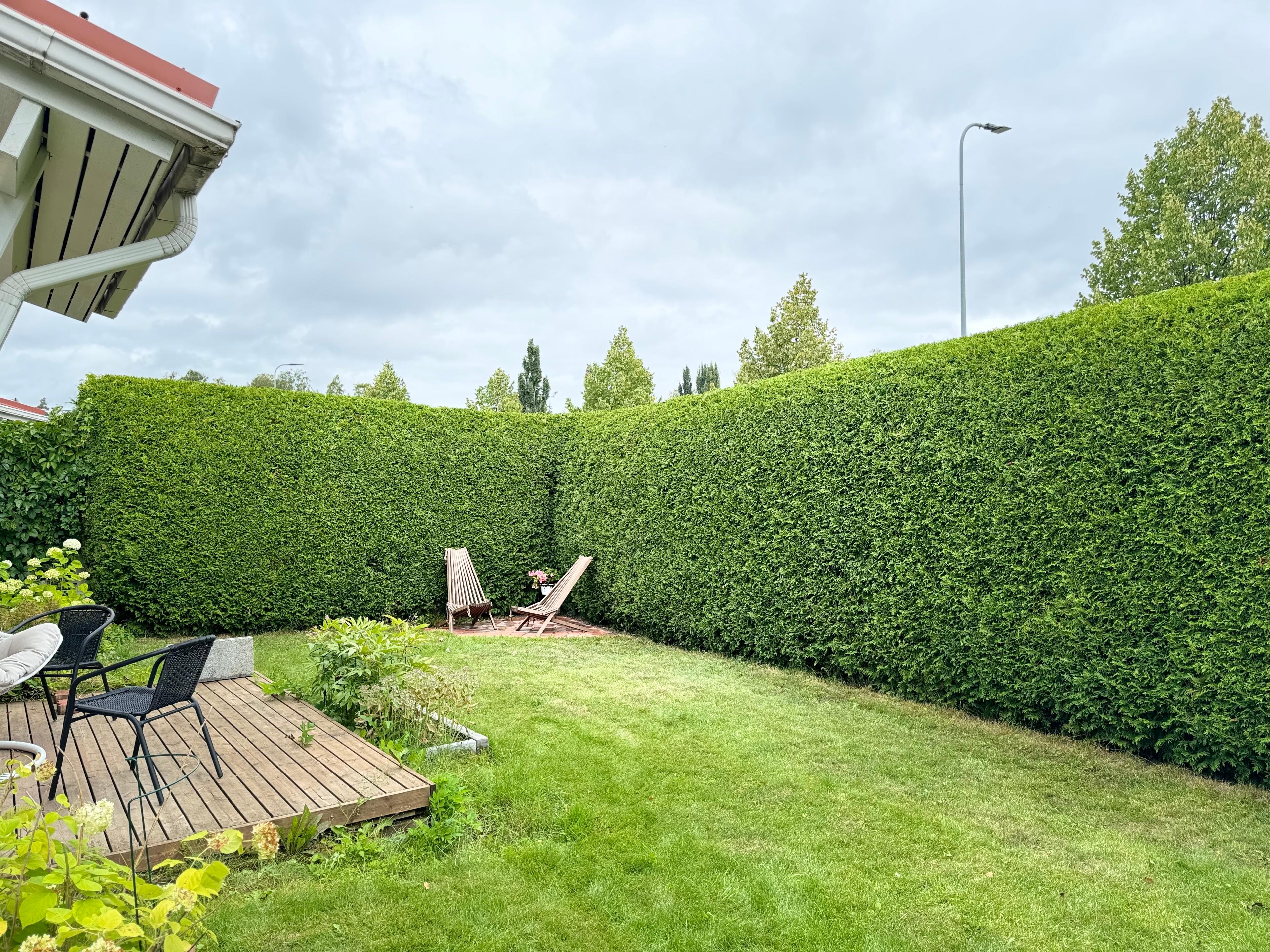 Etsitkö ammattitaitoista tuija-aidan leikkausta Helsingistä? Tuija-aidan leikkaukseen Helsingin paikalliset palveluntarjoajat varmistavat, että tuija-aitasi pysyy siistinä ja elinvoimaisena jokaisena vuodenaikana.