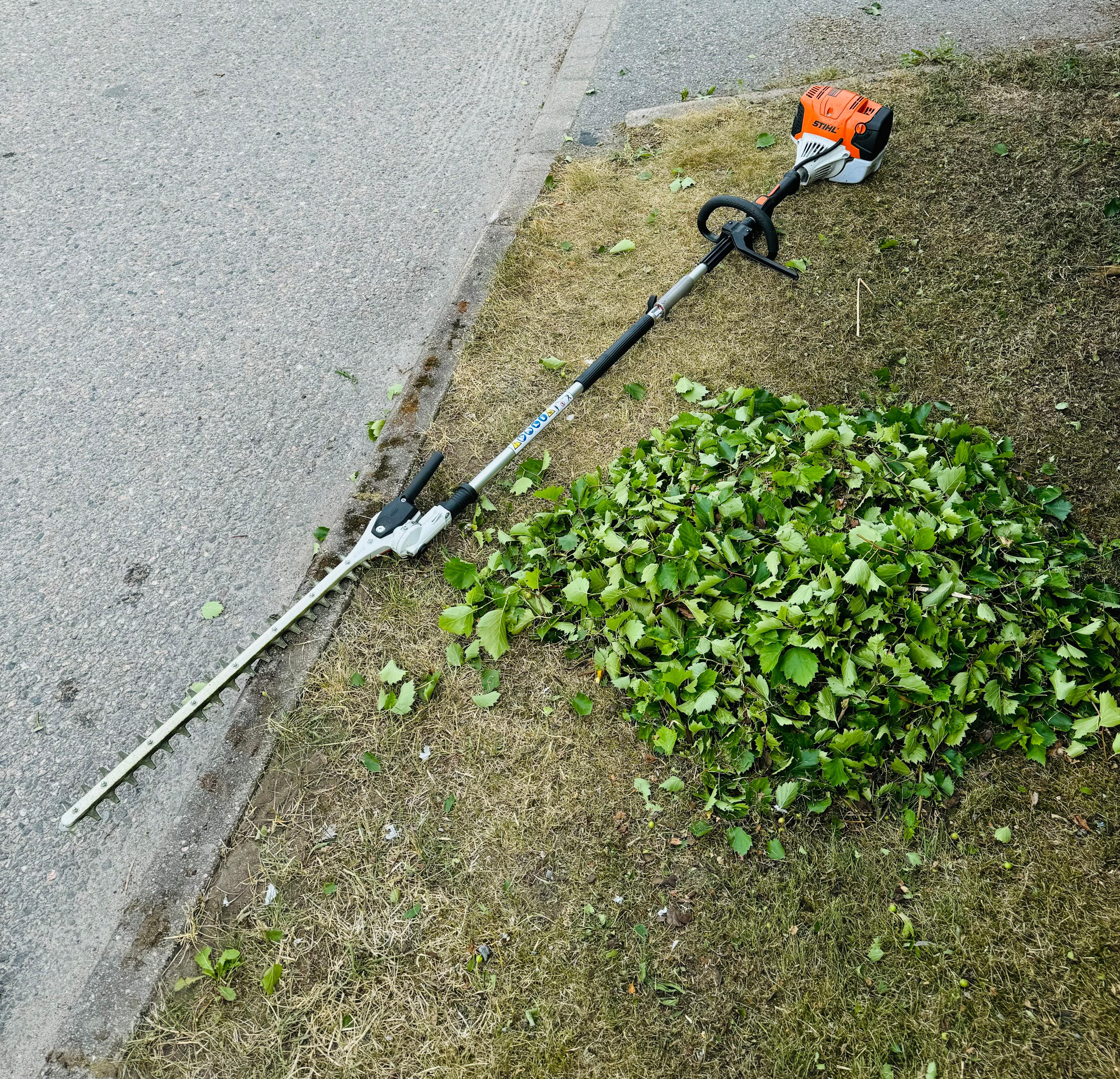 Orapihlaja-aidan leikkaus Helsinki Etsitkö ammattitaitoista orapihlaja-aidan leikkausta Helsingistä? Orapihlaja-aidan leikkaukseen Helsingin paikalliset palveluntarjoajat varmistavat, että orapihlaja-aitasi pysyy siistinä ja elinvoimaisena jokaisena vuodenaikana.