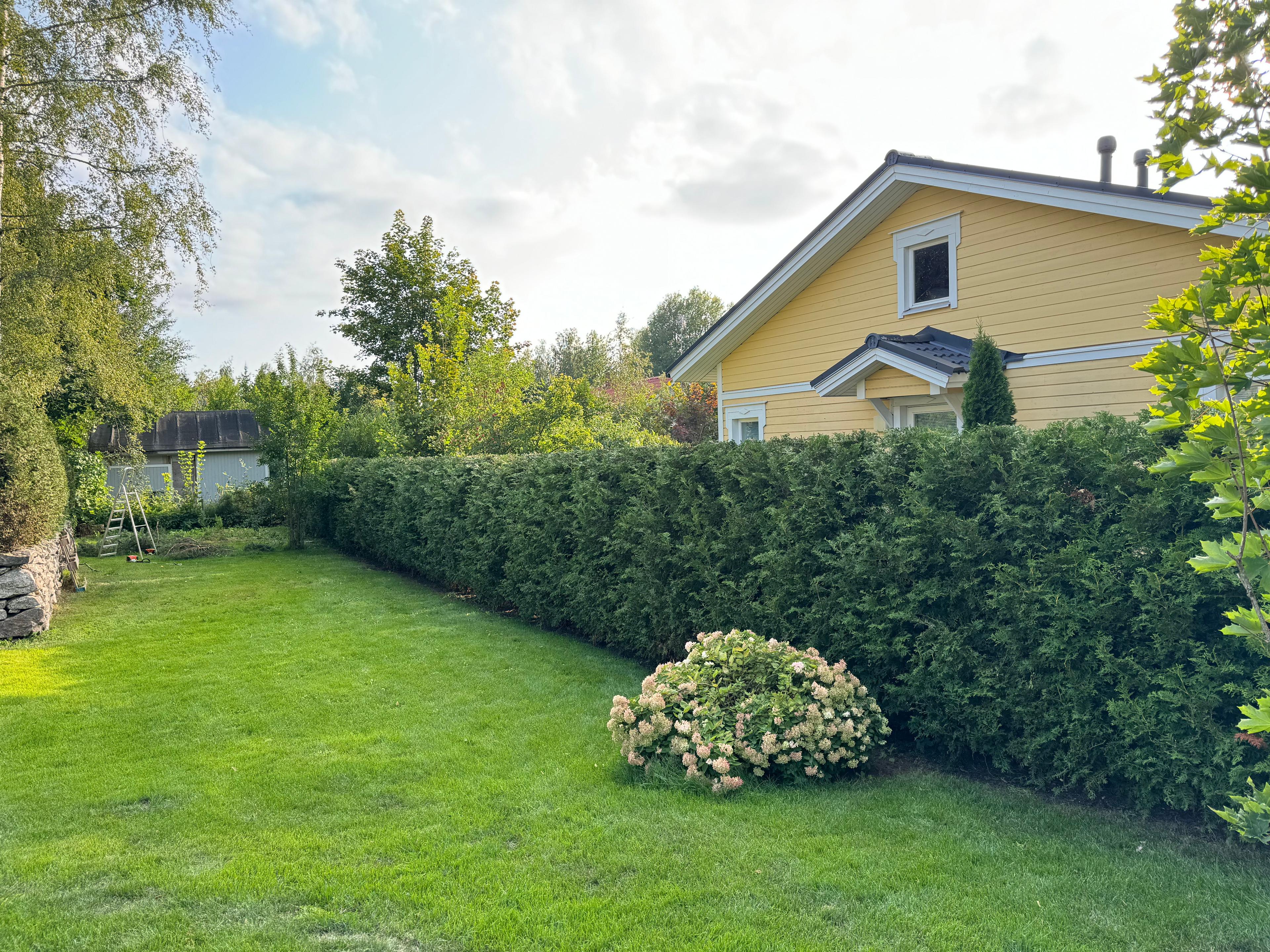 Tuija-aidan istutus Oulu Etsitkö ammattitaitoista yritystä istuttamaan tuija-aitasi Oulussa? Oulun paikalliset yritykset istuttavat tuija-aitasi parhaalla mahdollisella tavalla.