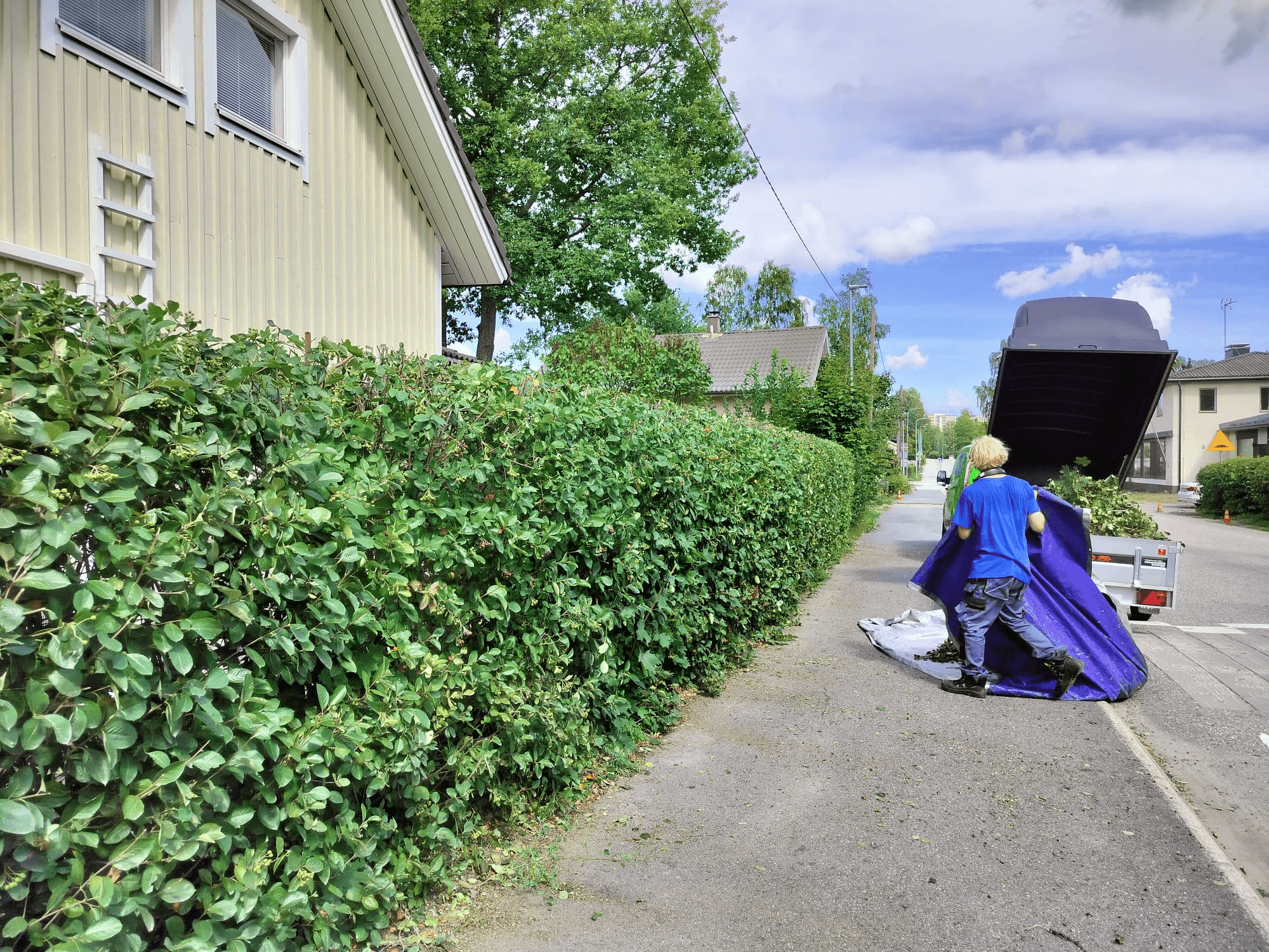 Etsitkö ammattitaitoista aronia-aidan leikkausta Vantaalla? Aronia-aidan leikkauksen Vantaan paikalliset palveluntarjoajat varmistavat, että aitasi pysyy siistinä ja elinvoimaisena jokaisena vuodenaikana.
