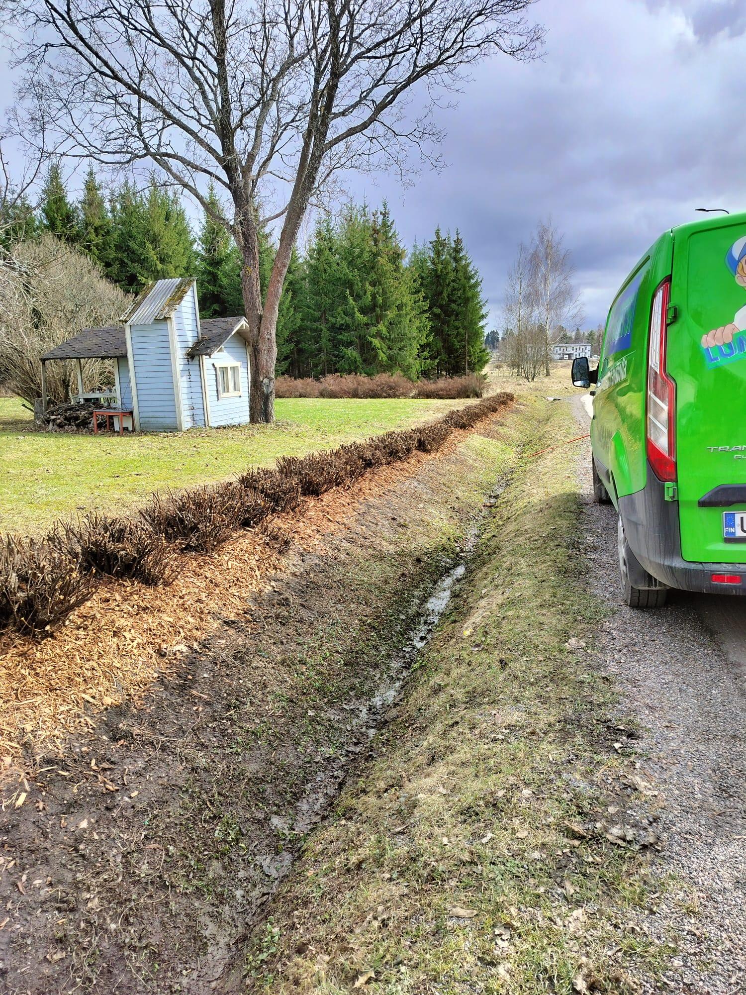 Kevät on hyvää aikaa myös pensaiden ja pensasaitojen leikkauksille, sillä keväällä monet pensaat kestävät myös rajumpia leikkauksia. Esimerkiksi pensasangervot ja orapihlaja-aidat voi leikata keväällä jopa kokonaan alas.