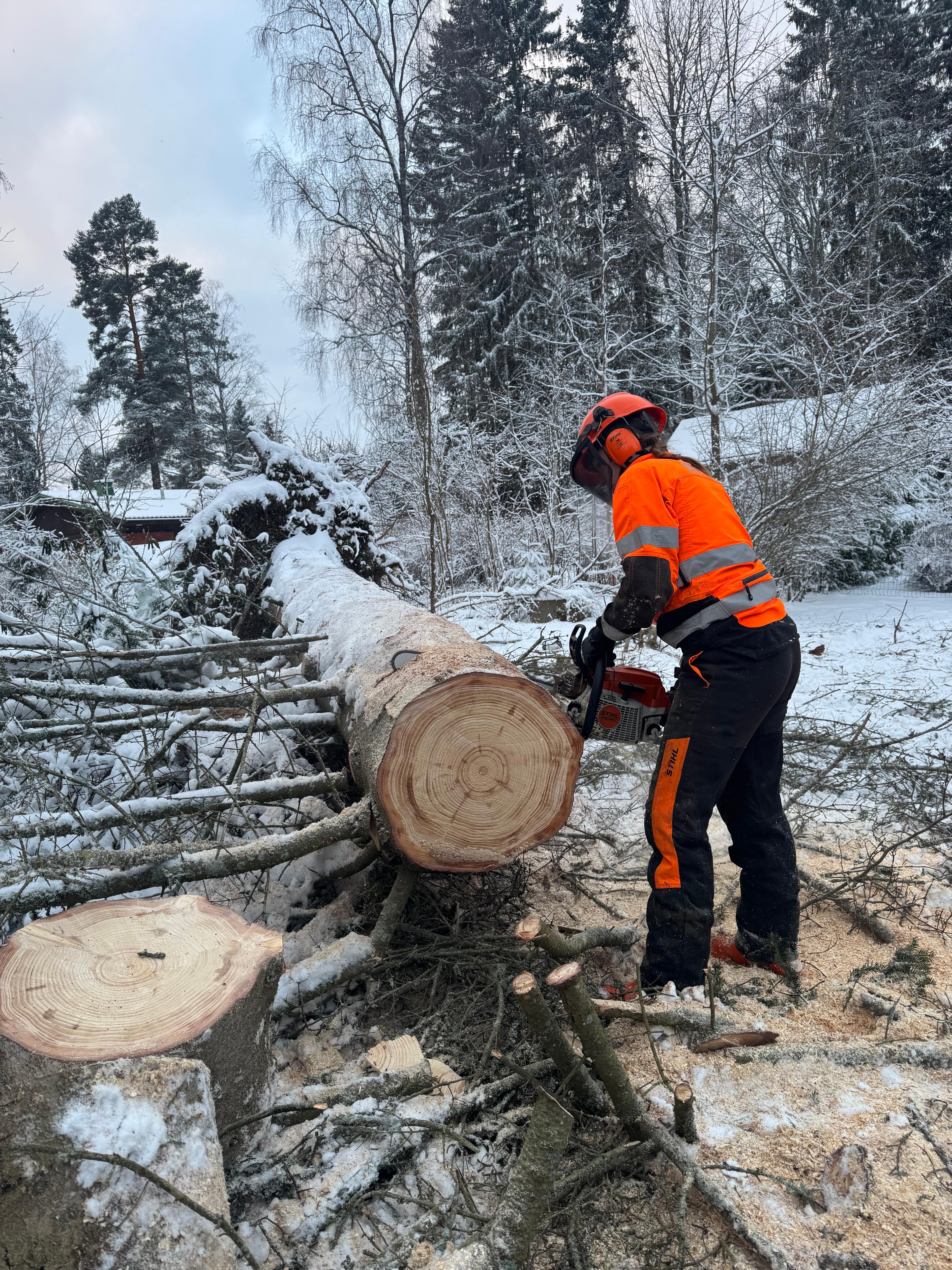 Etsitkö puunkaatajaa Vantaalta? Vantaan paikalliset palveluntarjoajat varmistavat, että pihasi puut kaadetaan turvallisesti ja oikeaoppisesti.